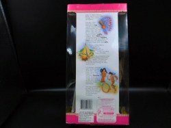 native american barbie 2 bk